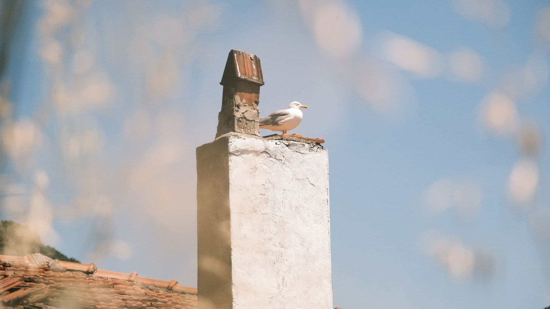 A serene scene of a seagull perched on a rustic chimney under a bright blue sky.